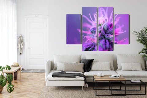 Obraz Wieloczęściowy Roślina Makro Na Różowo-Fioletowym Tle