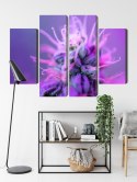 Obraz Wieloczęściowy Roślina Makro Na Różowo-Fioletowym Tle