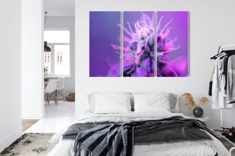Obraz Wieloczęściowy Roślina Makro Na Różowo-Fioletowym Tle