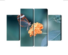 Obraz Wieloczęściowy Motyl W Letnim Ogrodzie