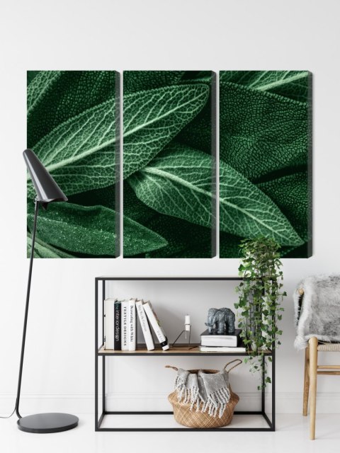 Obraz Wieloczęściowy Szałwia Odchodzi W Skali Makro