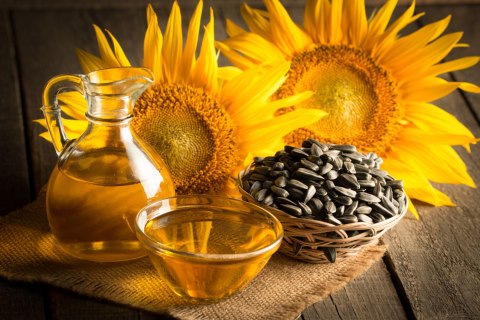 Obraz Na Płótnie Piękne Słoneczniki Z Olejem