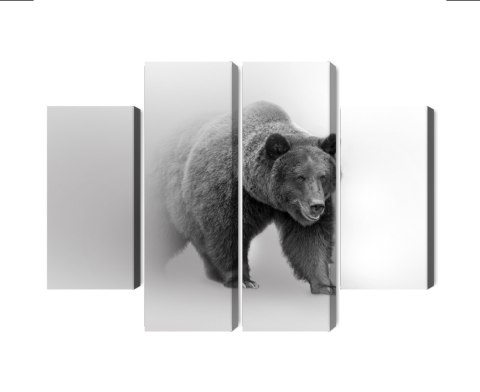 Obraz Wieloczęściowy Niedźwiedź We Mgle 3D