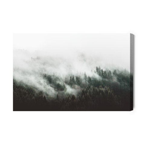 Obraz Na Płótnie Moody Forest Landscape With Fog And Mist