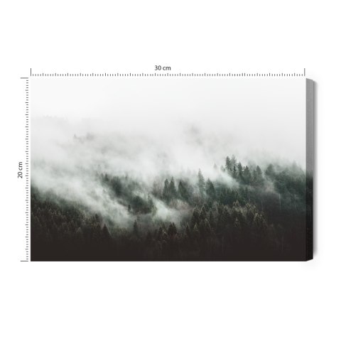 Obraz Na Płótnie Moody Forest Landscape With Fog And Mist
