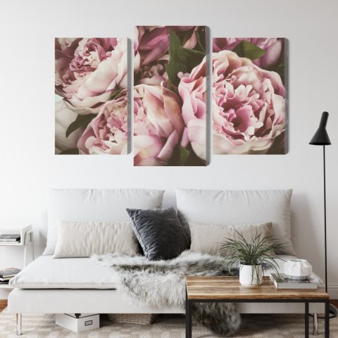 Obraz Wieloczęściowy Delikatne Kwiaty Piwonii Vintage