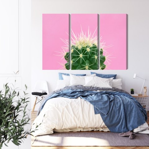 Obraz Wieloczęściowy Kaktus Na Różowym Tle