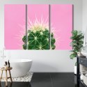 Obraz Wieloczęściowy Kaktus Na Różowym Tle