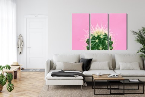 Obraz Wieloczęściowy Kaktus Na Różowym Tle