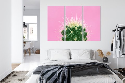 Obraz Wieloczęściowy Kaktus Na Różowym Tle
