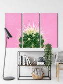 Obraz Wieloczęściowy Kaktus Na Różowym Tle