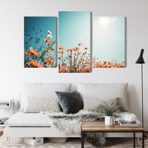 Obraz Wieloczęściowy Kwiaty Polne W Słońcu