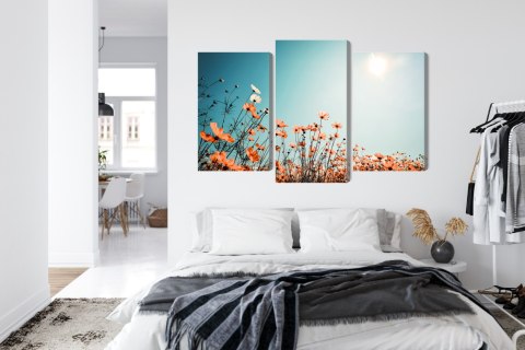 Obraz Wieloczęściowy Kwiaty Polne W Słońcu