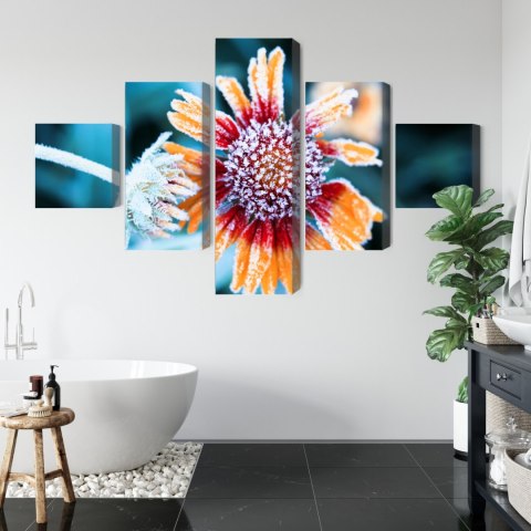 Obraz Wieloczęściowy Kwiaty Rudbeckia Pokryte Szronem