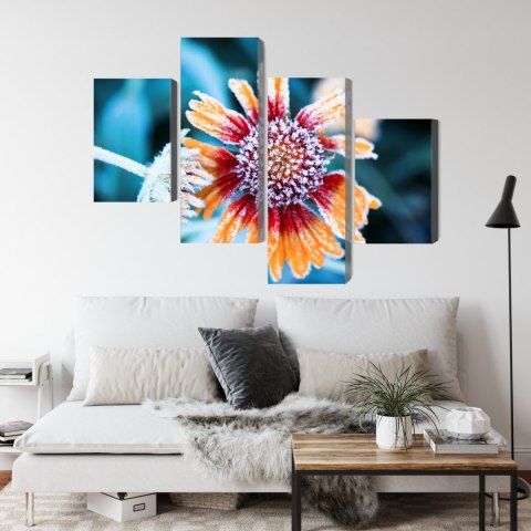 Obraz Wieloczęściowy Kwiaty Rudbeckia Pokryte Szronem