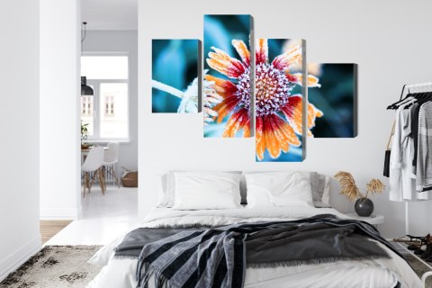 Obraz Wieloczęściowy Kwiaty Rudbeckia Pokryte Szronem