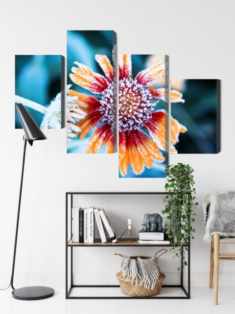 Obraz Wieloczęściowy Kwiaty Rudbeckia Pokryte Szronem