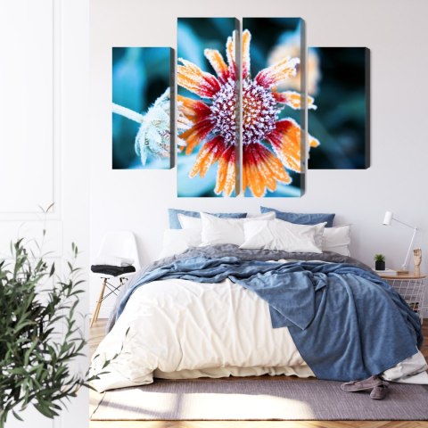 Obraz Wieloczęściowy Kwiaty Rudbeckia Pokryte Szronem