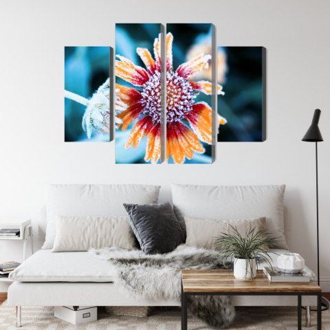 Obraz Wieloczęściowy Kwiaty Rudbeckia Pokryte Szronem