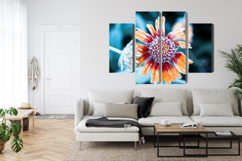 Obraz Wieloczęściowy Kwiaty Rudbeckia Pokryte Szronem