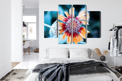 Obraz Wieloczęściowy Kwiaty Rudbeckia Pokryte Szronem