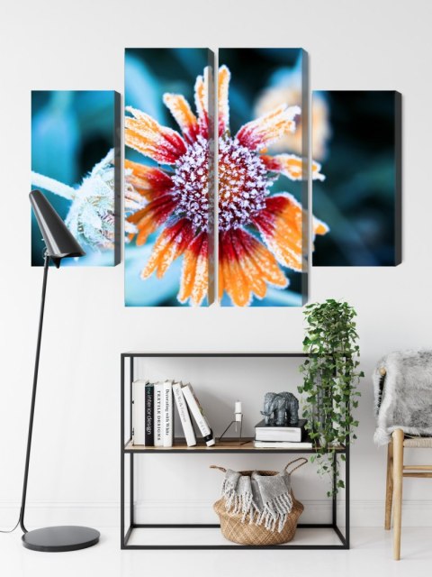 Obraz Wieloczęściowy Kwiaty Rudbeckia Pokryte Szronem