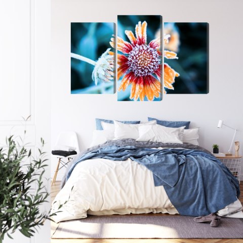 Obraz Wieloczęściowy Kwiaty Rudbeckia Pokryte Szronem