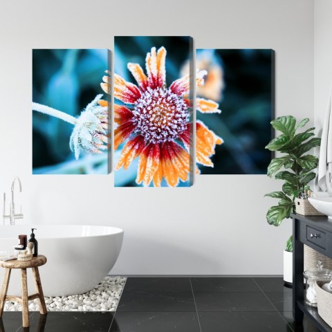 Obraz Wieloczęściowy Kwiaty Rudbeckia Pokryte Szronem