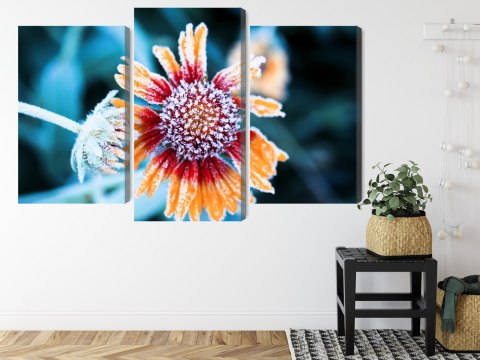 Obraz Wieloczęściowy Kwiaty Rudbeckia Pokryte Szronem