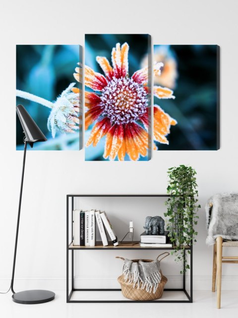 Obraz Wieloczęściowy Kwiaty Rudbeckia Pokryte Szronem