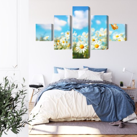 Obraz Wieloczęściowy Pole Stokrotki 3D