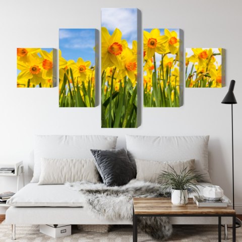 Obraz Wieloczęściowy Pole Żonkila 3D