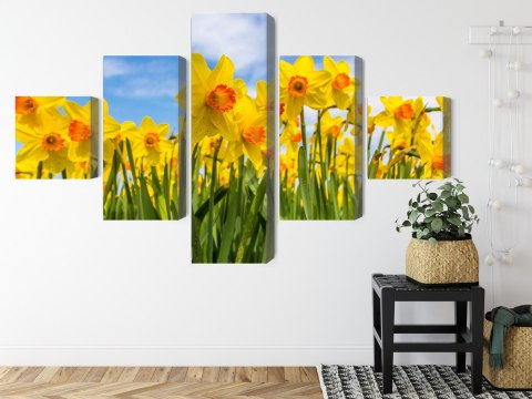 Obraz Wieloczęściowy Pole Żonkila 3D