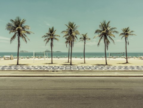 Obraz Wieloczęściowy Palmy Na Plaży Ipanema W Rio De Janeiro