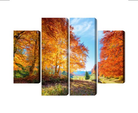 Obraz Wieloczęściowy Kolorowe Jesienne Drzewa