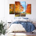 Obraz Wieloczęściowy Kolorowe Jesienne Drzewa