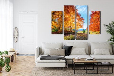 Obraz Wieloczęściowy Kolorowe Jesienne Drzewa