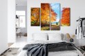 Obraz Wieloczęściowy Kolorowe Jesienne Drzewa