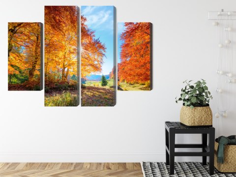 Obraz Wieloczęściowy Kolorowe Jesienne Drzewa