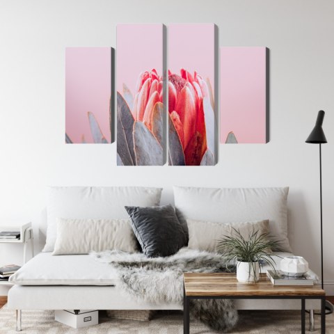 Obraz Wieloczęściowy Kwiat Królewskiej Protei Z Bliska