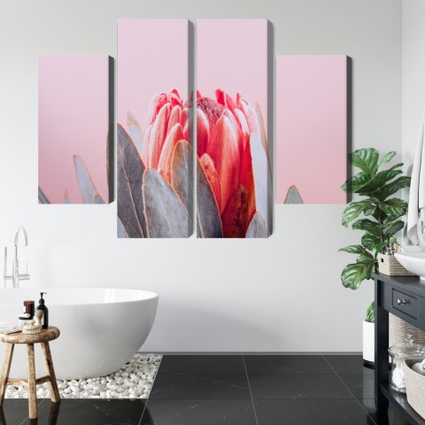 Obraz Wieloczęściowy Kwiat Królewskiej Protei Z Bliska