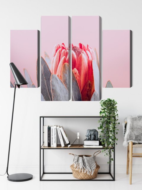 Obraz Wieloczęściowy Kwiat Królewskiej Protei Z Bliska