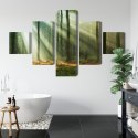 Obraz Wieloczęściowy Leśny Krajobraz O Poranku