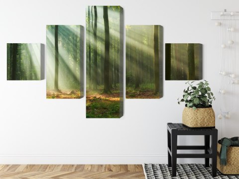 Obraz Wieloczęściowy Leśny Krajobraz O Poranku