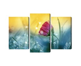 Obraz Wieloczęściowy Różowy Kwiat Na Łące 3D