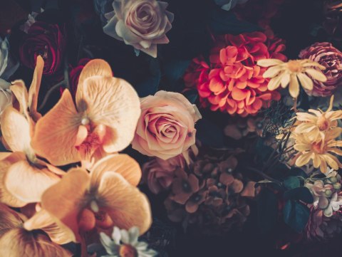 Obraz Wieloczęściowy Wielokolorowe Kwiaty W Stylu Vintage