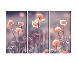 Obraz Wieloczęściowy Wiosenne Kwiaty 3D