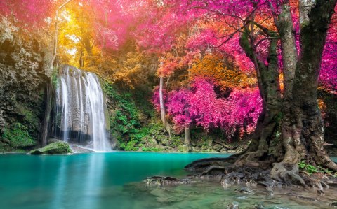 Obraz Wieloczęściowy Piękny Leśny Wodospad