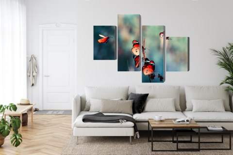 Obraz Wieloczęściowy Kolorowe Motyle W Skali Makro