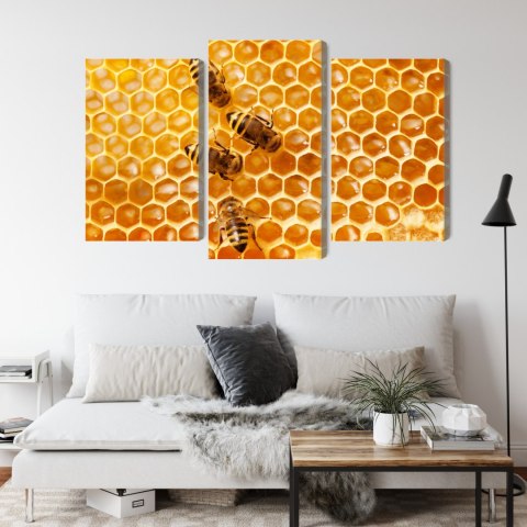 Obraz Wieloczęściowy Pszczoły Na Plastrze Miodu